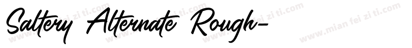 Saltery Alternate Rough字体转换